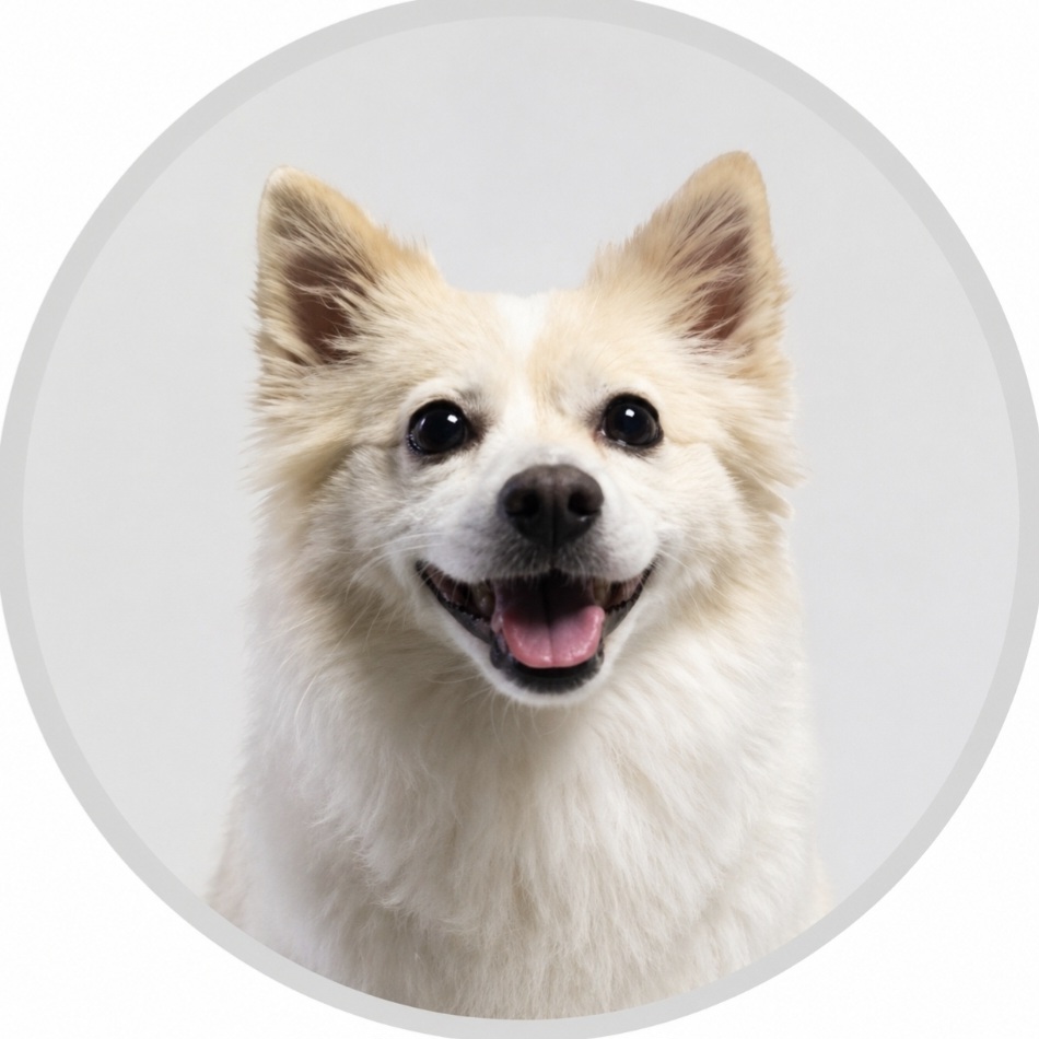 강아지 고양이 SNS 프로필 이미지 AI 프롬프트